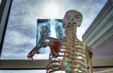 skeleton-2561573_1280